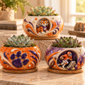 CTFB 3-Piece Succulent Planter Set HTTT